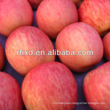 best price fresh fuji apple
